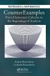 CounterExamples - Bild 1
