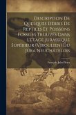 Description De Quelques Débris De Reptiles Et Poissons Fossiles Trouvés Dans L'étage Jurassique Supérieur (Virgulien) Du Jura Neuchâtelois