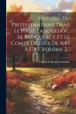 Histoire Du Protestantisme Dans Le Haut-languedoc, Le Bas-quercy Et Le Comté De Foix De 1685 À 1789, Volume 2...