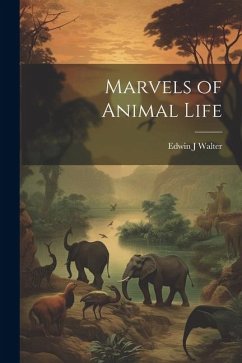 Marvels of Animal Life - Walter, Edwin J.