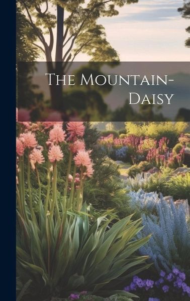 The Mountain-daisy