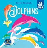 Dolphins Dolphins