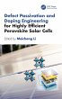 Defect Passivation and Doping... - Bild 1
