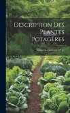 Description Des Plantes Potagères