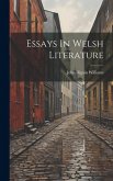 Essays In Welsh Literature