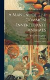 A Manual of the Common Invertebrate Animals: Exclusive of Insects