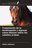 Tratamiento de la tendinopatía y algunas cosas básicas sobre los caballos árabes