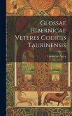 Glossae Hibernicae Veteres Codicis Taurinensis Glossae Hibernicae Veteres Codicis Taurinensis