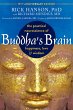 Buddha's Brain - Bild 1