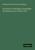 Der Brand von Meiringen, Eisenbolgen und Hausen am 10. Februar 1879