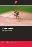 Anopheles Anopheles