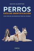 Perros Guia De Identificacion Perros Guia De Identificacion