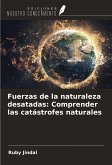 Fuerzas de la naturaleza desatadas: Comprender las catástrofes naturales