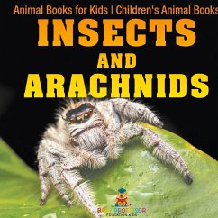 Insects and Arachnids - Baby