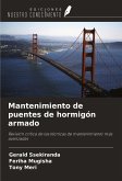 Mantenimiento de puentes de hormigón armado Mantenimiento de puentes de hormigón armado
