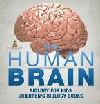 The Human Brain - Biology for Kids   Children's Biology Books