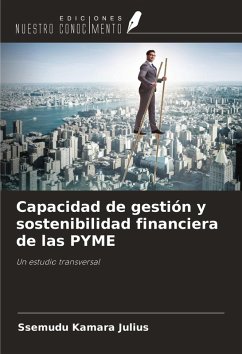 Cover Capacidad de gestión y sostenibilidad financiera de las PYME