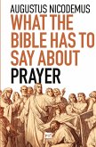 What the Bible Has To Say About Prayer