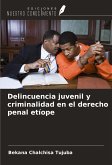 Delincuencia juvenil y criminalidad en el derecho penal etíope