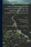 Special Report Of New York State Survey On The Preservation Of The Scenery Of Niagara Falls: And Fourth Annual Report On The Triangulation Of The Stat