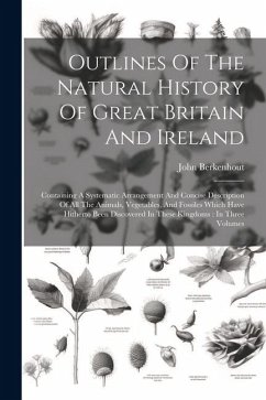 Outlines Of The Natural History Of Great Britain And Ireland: Containing A Systematic Arrangement And Concise Description Of All The Animals, Vegetabl - Berkenhout, John