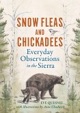 Snow Fleas and Chickadees Snow Fleas and Chickadees