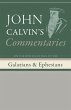 Commentaries on the Epistles of Paul to... - Bild 1