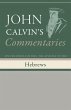 Commentaries on the Epistle of Paul the... - Bild 1