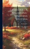 Lifsbilder ur Augustana-Synodens Historia