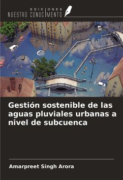 Cover Gestión sostenible de las aguas pluviales urbanas a nivel de subcuenca