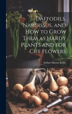 Daffodils, Narcissus, and how to Grow Them as Hardy Plants and for cut Flowers