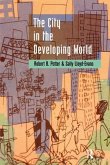 The City in the Developing World