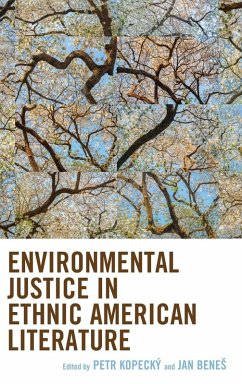 Cover Environmental Justice in Ethnic American Literature
