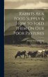 Rabbits As a Food Supply & How to Fold... - Bild 1