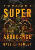 A Beginner's Guide to Superabundance A Beginner's Guide to Superabundance
