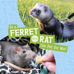 Cover Is a Ferret or a Rat the Pet for Me?