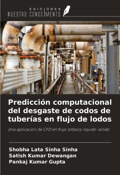 Cover Predicción computacional del desgaste de codos de tuberías en flujo de lodos