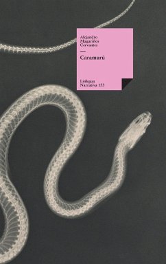 Caramurú - Magariños Cervantes, Alejandro