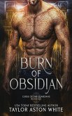 Burn of Obsidian Burn of Obsidian