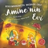 Peygamberimizin Dogdugu Gece - Aminenin Evi