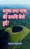 How did human and language originate?