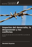 Impactos del desarrollo, la desposesión y los conflictos