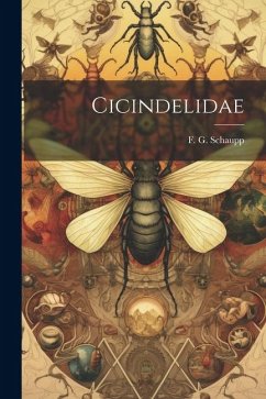 Cicindelidae - Schaupp, F. G.