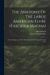 The Anatomy Of The Large American Fluke... - Bild 1