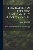 The Anatomy Of The Large American Fluke (fasciola Magna): And A Comparison With Other Species Of The Genus Fasciola, S. St