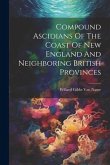 Compound Ascidians Of The Coast Of New England And Neighboring British Provinces