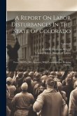 A Report On Labor Disturbances In The State Of Colorado: From 1880 To 1904, Inclusive, With Correspondence Relating Thereto; Volume 3