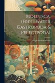 Mollusca. (Freshwater Gastropoda & Pelectpoda) Mollusca. (Freshwater Gastropoda & Pelectpoda)