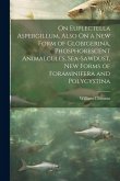 On Euplectella Aspergillum, Also On a New Form of Globigerina, Phosphorescent Animalcules, Sea-Sawdust, New Forms of Foraminifera and Polycystina On Euplectella Aspergillum, Also On a New Form of Globigerina, Phosphorescent Animalcules, Sea-Sawdust, New Forms of Foraminifera and Polycystina