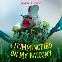 A Hummingbird on My Balcony - Groc, Isabelle